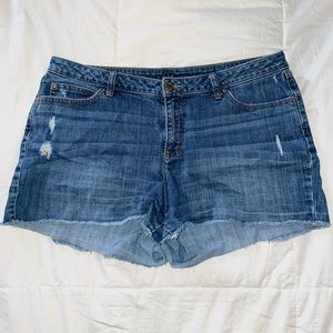 Jennifer Lopez Jean Shorts